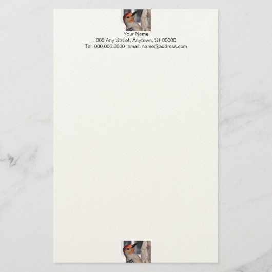 Woodpecker Portrait Stationery Briefpapier (Voorkant)