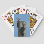 Woodpecker Posing op een foto van een paal Pokerkaarten (Achterkant)