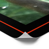 Woodpecker Poster (Hoek)