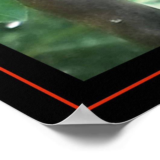 Woodpecker Poster (Hoek)