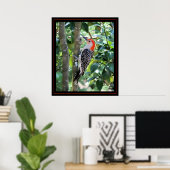 Woodpecker Poster (Thuiskantoor)