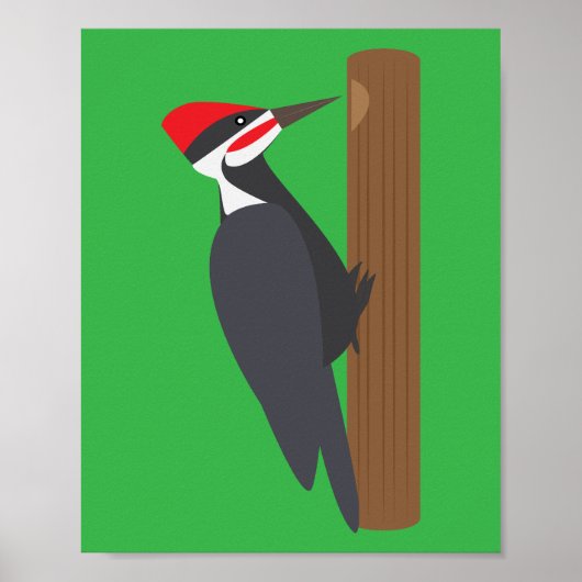 Woodpecker Poster (Voorkant)