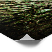 Woodpecker Poster (Hoek)