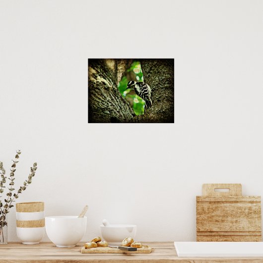 Woodpecker Poster (Keuken)