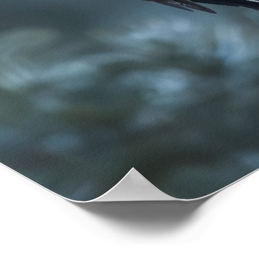 Woodpecker sits on a tree trunk poster (Hoek)