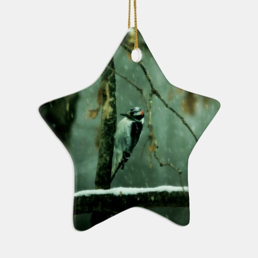 Woodpecker Snow Ornament (Rechts)