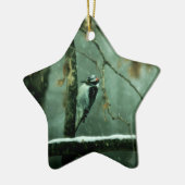 Woodpecker Snow Ornament (Links)