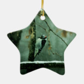 Woodpecker Snow Ornament (Achterkant)