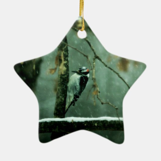 Woodpecker Snow Ornament (Achterkant)