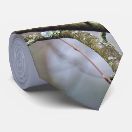 Woodpecker Stropdas (Opgerold)