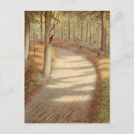 Woodpecker van Theodor Severin Kittelsen Briefkaart (Voorkant)