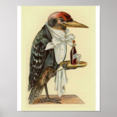 Woodpecker Waiter Bird Illustration Poster (Voorkant)