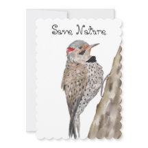 Woodpecker waterverf Sierkussen