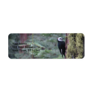 Woodpecker- Yosemite Etiket