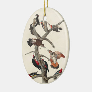  Woodpeckers Birds Classic Illustrations Keramisch Ornament