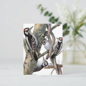 Woodpeckers Briefkaart (Staand voorkant)