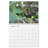 Woodpeckers Calendar Kalender (Feb 2027)