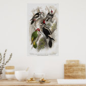 Woodpeckers Poster (Keuken)