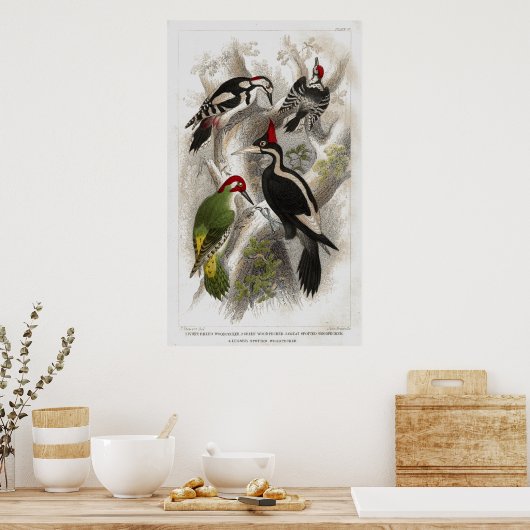 Woodpeckers Poster (Keuken)