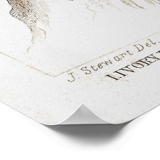 Woodpeckers Poster (Hoek)