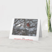 Woodpile, Warm Winter Greetings Kaart (Achterkant)