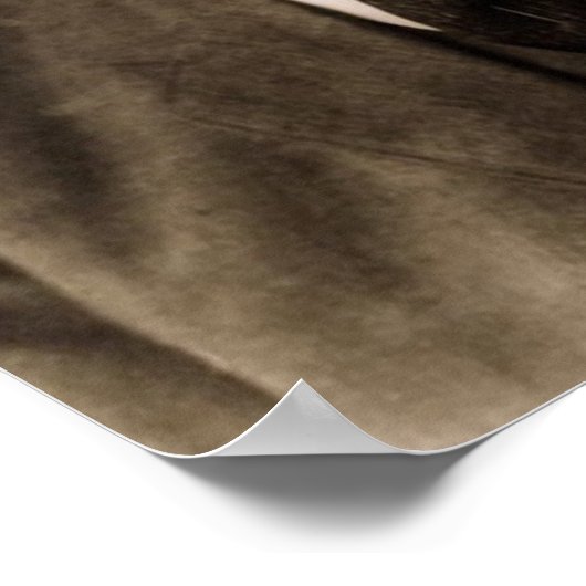 Woodrow Wilson 28 Poster (Hoek)