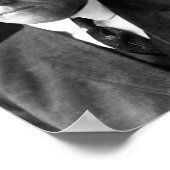 Woodrow Wilson Poster (Hoek)