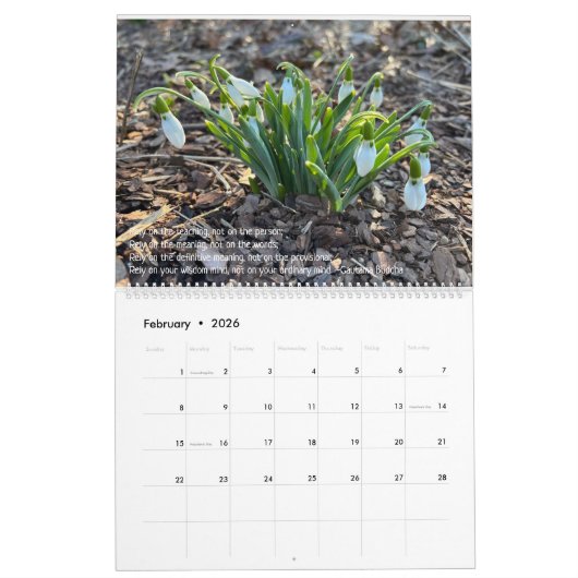 Woods Walking 2026 Calendar Kalender (Feb 2026)