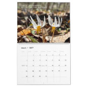 Woods Walking 2026 Calendar Kalender (Mar 2027)