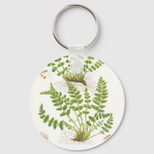 Woodsia Fern Sleutelhanger (Voorkant)