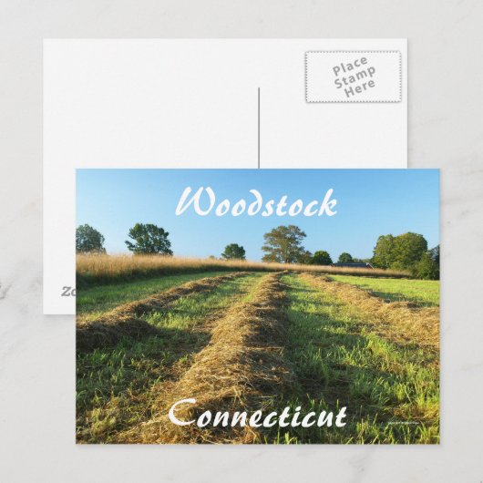 Woodstock Briefkaart (Voorkant / Achterkant)