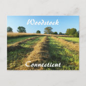 Woodstock Briefkaart (Voorkant)