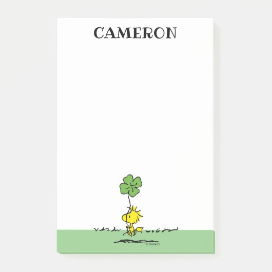 Woodstock Carry Shamrock Post-it® Notes (Voorkant)