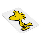 Woodstock Classic Design Pattern Magneet (Rechterzijde)