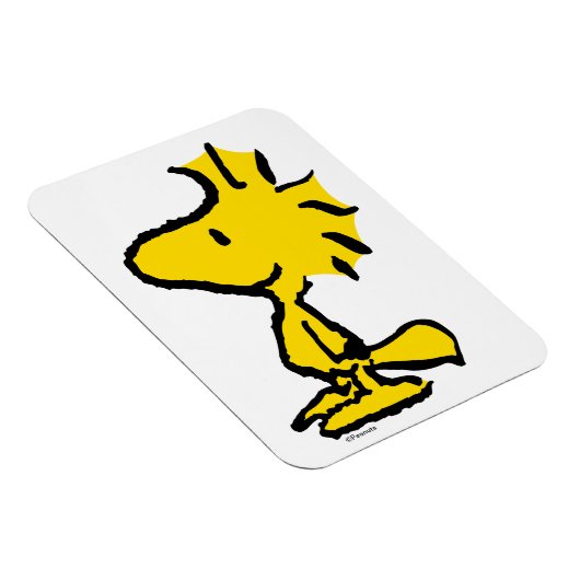 Woodstock Classic Design Pattern Magneet (Rechterzijde)