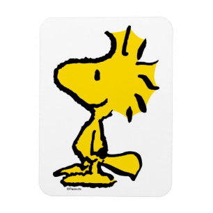 Woodstock Classic Design Pattern Magneet