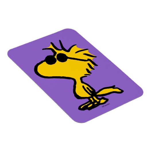 Woodstock Cool Sunbril Pattern Magneet (Rechterzijde)