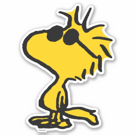 Woodstock Cool Sunbril Sticker (Voorkant)