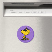 Woodstock Cool Sunglasses Magneet (Insitu (Vaatwasser))