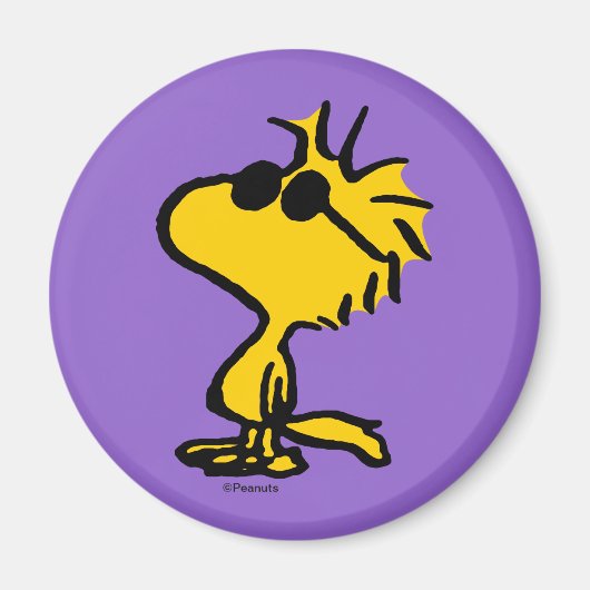 Woodstock Cool Sunglasses Magneet (Voorkant)