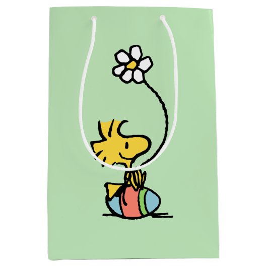 Woodstock Easter Egg Medium Cadeauzakje (Voorkant)