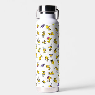 Woodstock Fun Pattern Waterfles