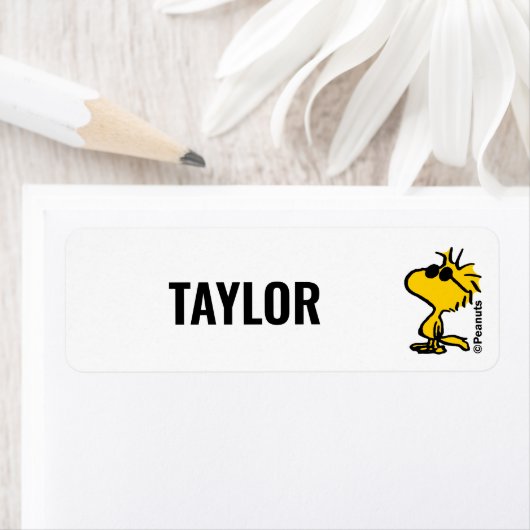 Woodstock in zonnebril etiket (Insitu)