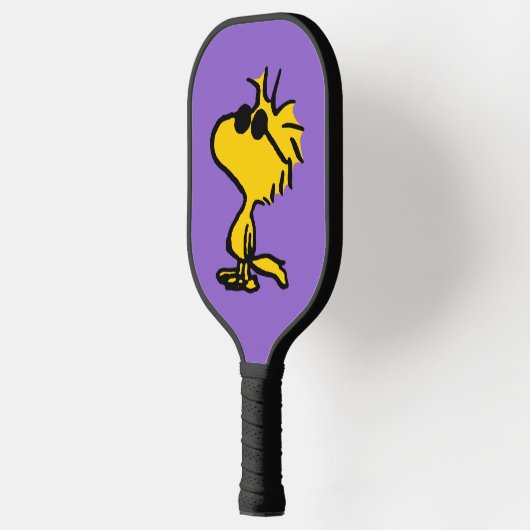 Woodstock in zonnebril pickleball paddle (Links)