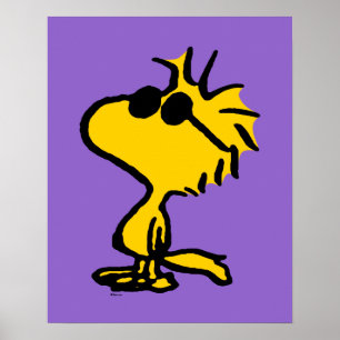 Woodstock in zonnebril poster