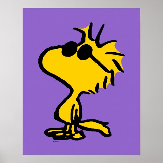 Woodstock in zonnebril poster (Voorkant)