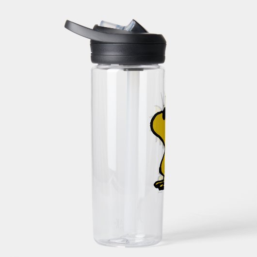 Woodstock in zonnebril waterfles (Rechts)