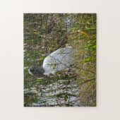 Woodstork Bird Florida Foto Legpuzzel (Verticaal)