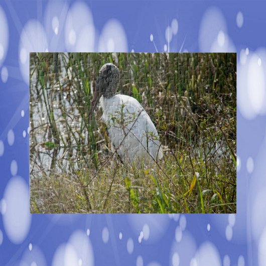 Woodstork Bird Florida Foto Legpuzzel