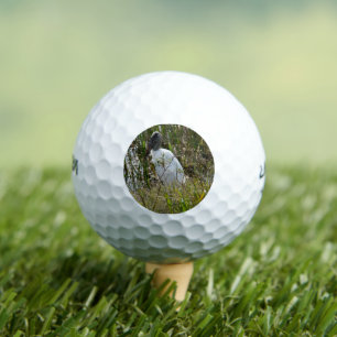 Woodstork Florida Wetlands Foto Golfballen